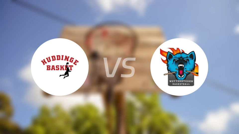 哈丁格vs韦特比分预测【2026/01/13】