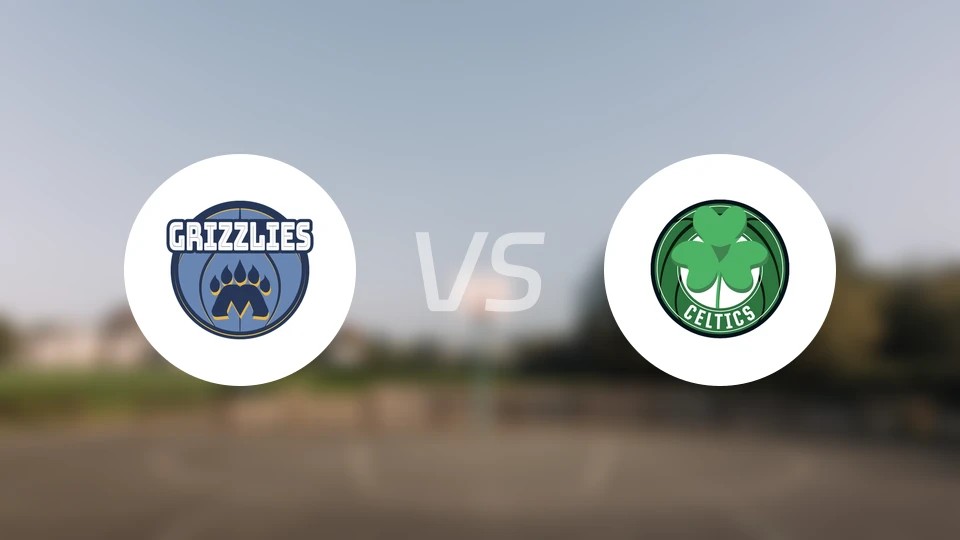 灰熊vs凯尔特人比分预测【2025/11/13】