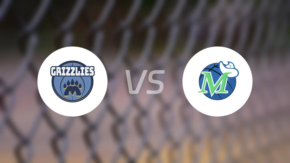 灰熊vs独行侠比分预测【2025/11/23】