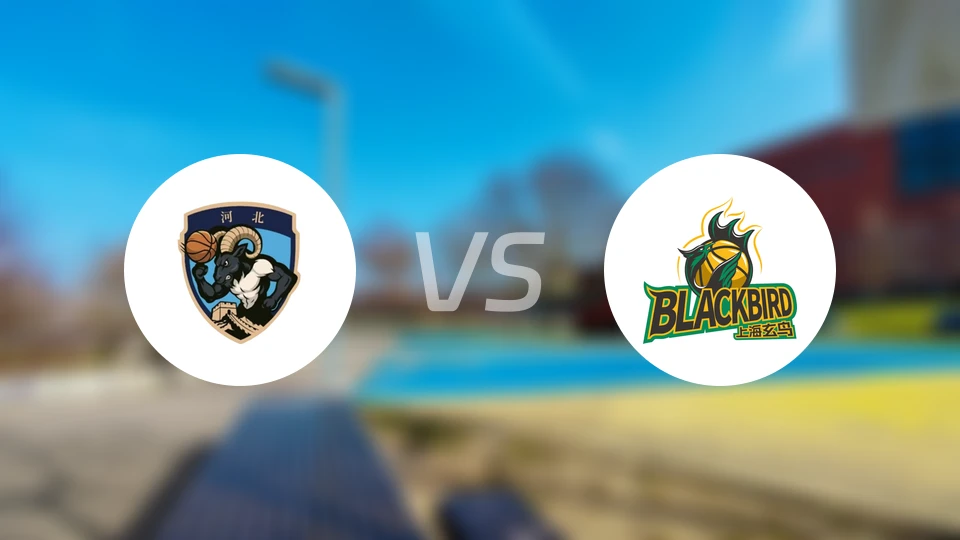 张家口体文旅vs上海玄鸟录像回放【2026/01/01】