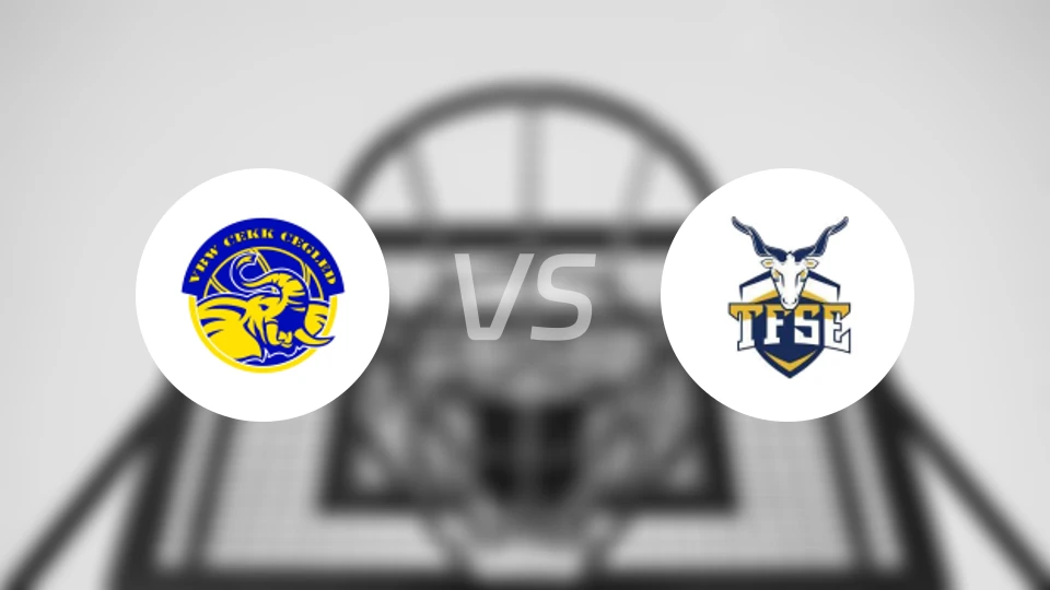 采格莱迪女篮vsMTK匈格利亚女篮比分预测【2026/01/11】