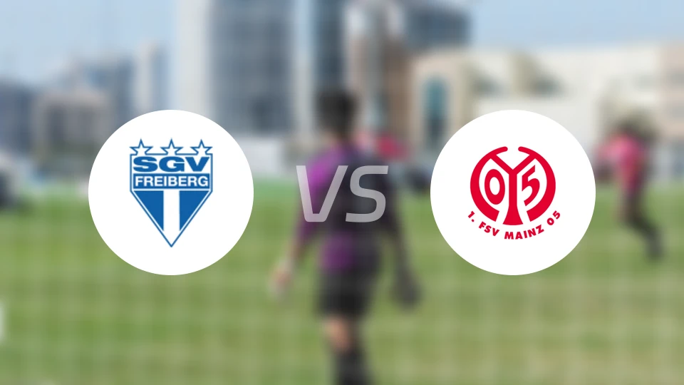 费堡格vs美因茨二队比分预测【2026/04/25】