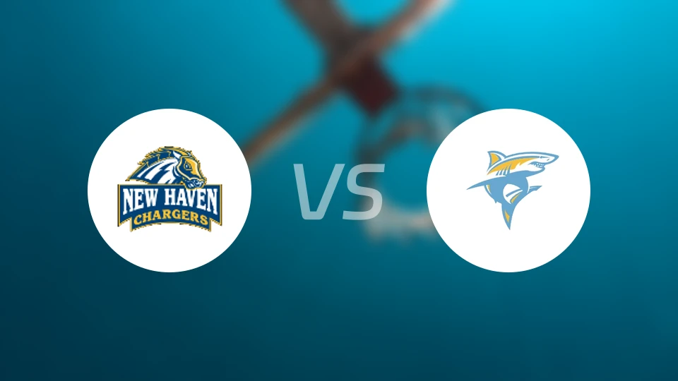 纽黑文大学vs长岛大学比分预测【2026/02/06】