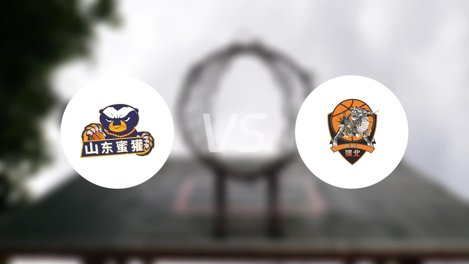 山东蜜獾vs石家庄翔蓝录像回放【2026/02/21】