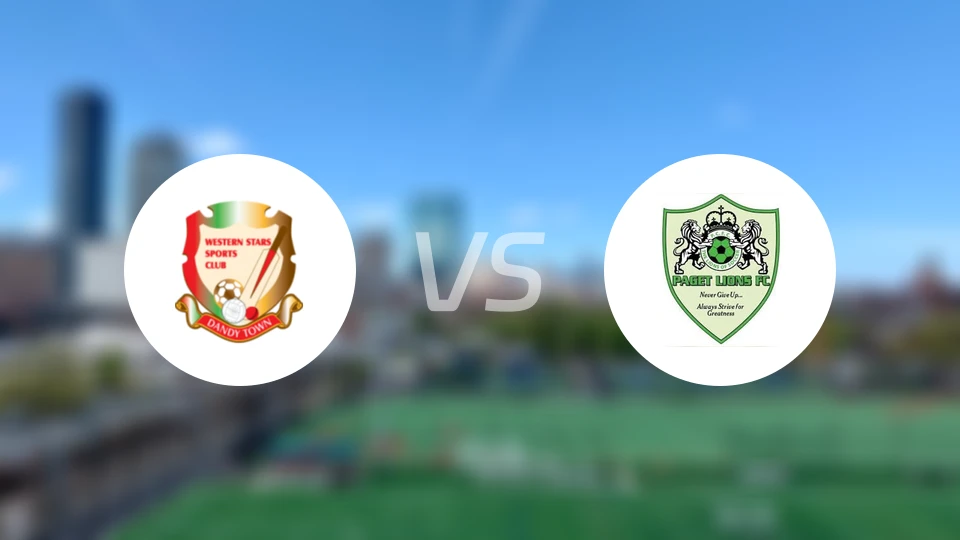 丹迪黄蜂队vs佩吉特狮子会比分预测【2026/02/02】