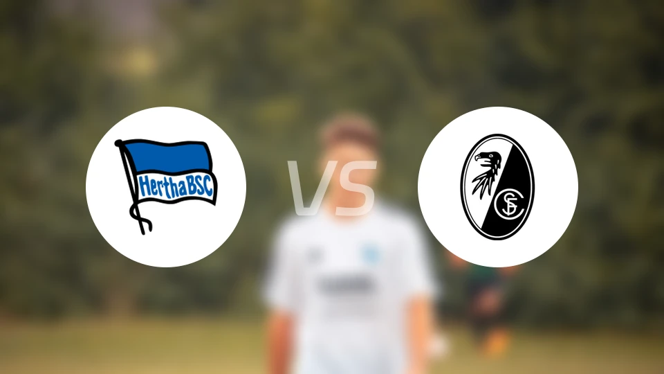 柏林赫塔vs弗赖堡比分预测【2026/02/11】