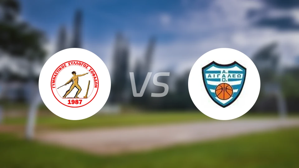 索菲特vs艾加里奥比分预测【2026/03/14】