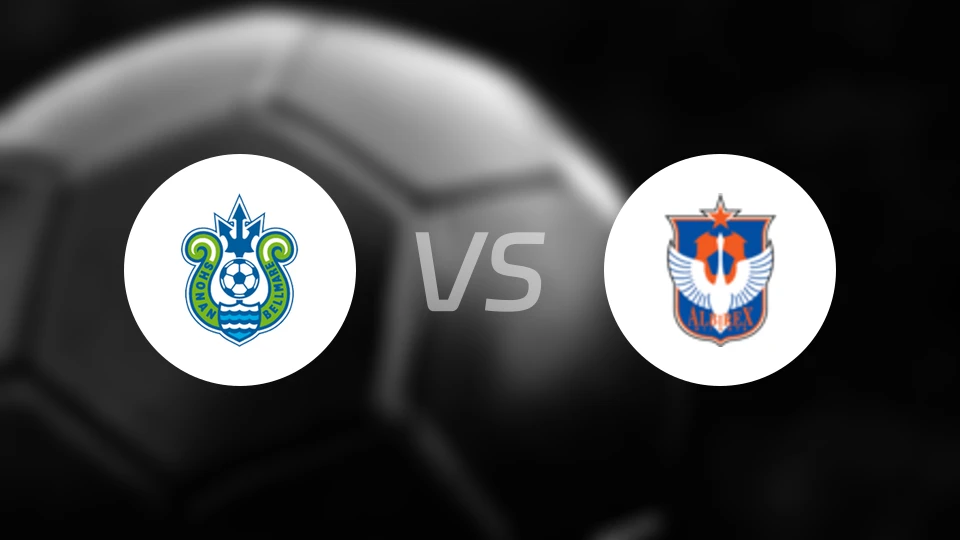 湘南丽海vs新潟天鹅比分结果战报【2025/11/08】