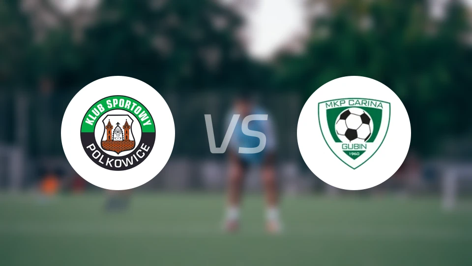 包尔科维切vsLSK戈查卓德比分预测【2026/04/17】