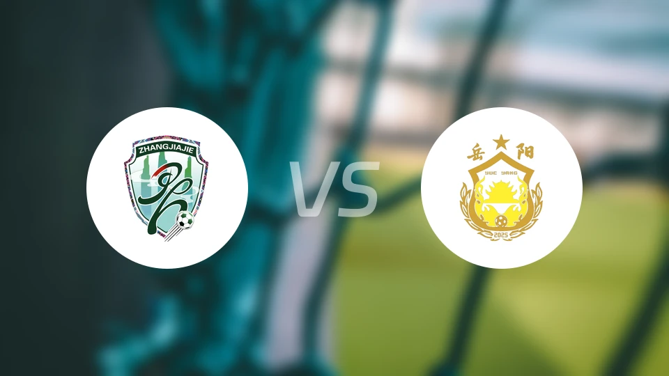 张家界队vs岳阳队录像回放【2025/11/29】