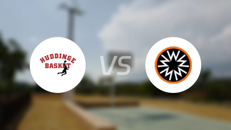 哈丁格vs玛巴斯比分预测【2026/02/01】