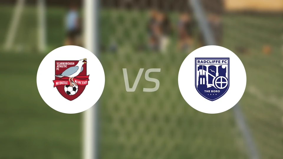 史卡保罗夫vs雷德利费比分预测【2025/11/05】