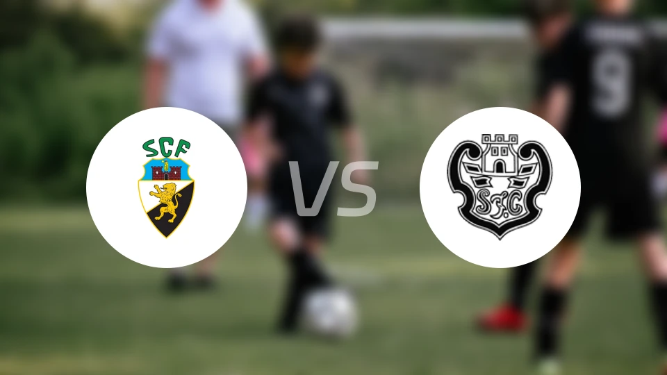 法鲁人vs锡尔维斯比分预测【2025/11/23】