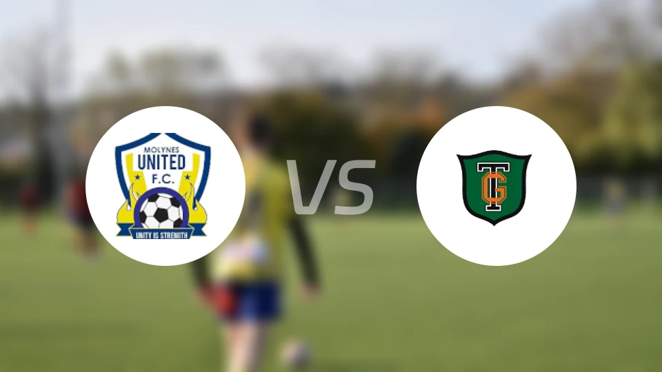 莫利尼斯联vs蒂沃利加登斯比分预测【2026/01/20】