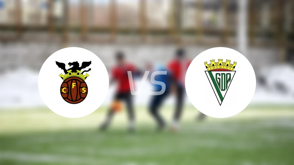 塞尔帕vs阿尔科切坦斯比分预测【2026/01/10】