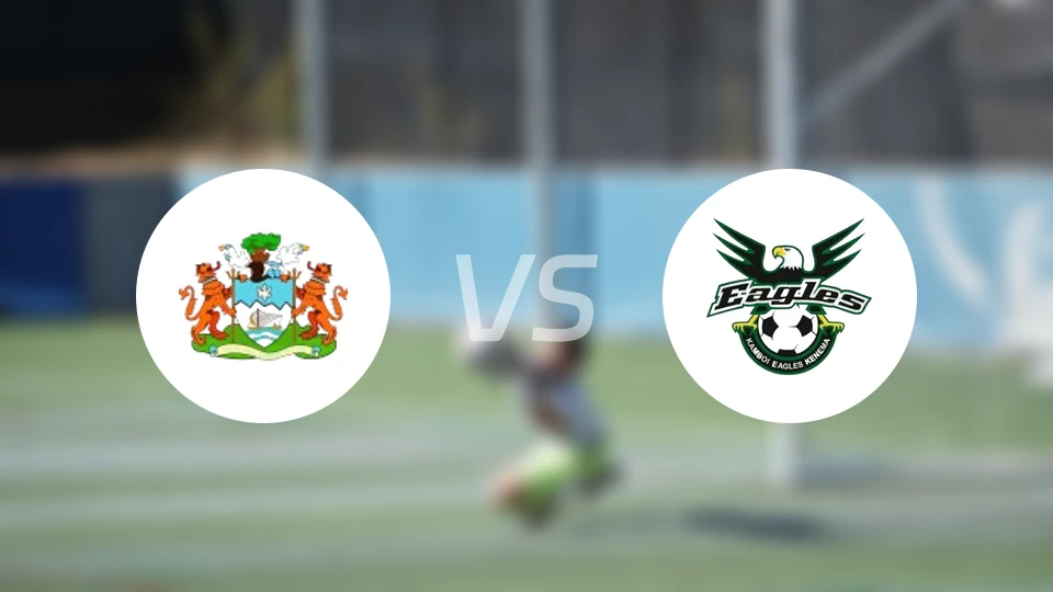 弗里敦市vs坎博伊老鹰比分预测【2026/02/08】