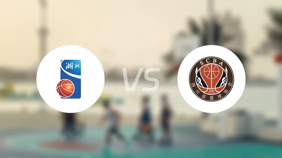 湖北vs四川比分结果战报【2025/11/04】