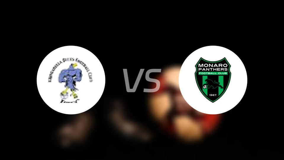 布伦达贝拉vs莫纳洛黑豹比分预测【2026/04/11】