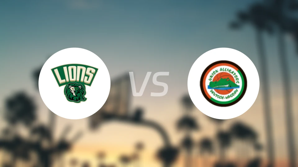 多恩比恩狮子vs瓦格兰姆鳄鱼比分预测【2025/11/16】