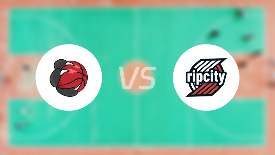 猛龙vs开拓者比分预测【2026/01/24】