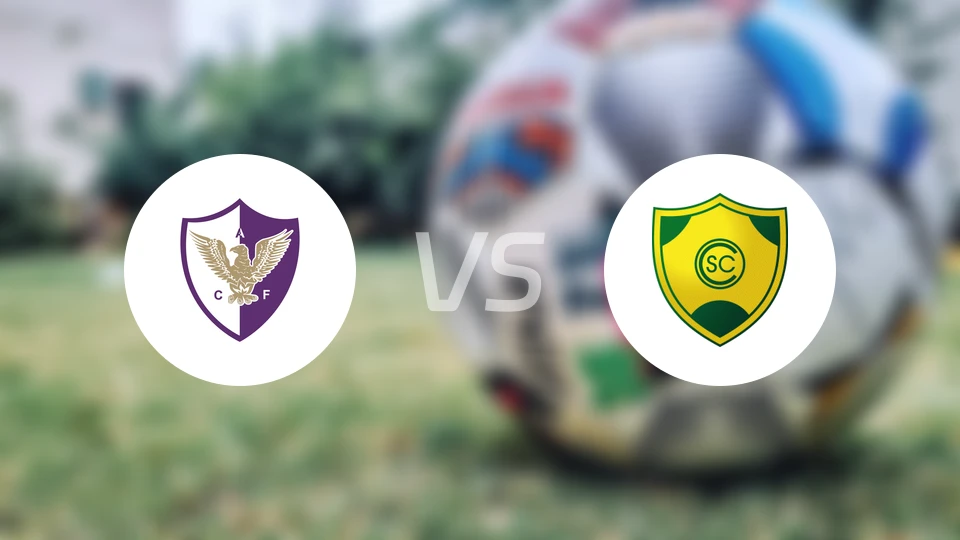 芬斯vs切里托比分预测【2026/04/13】