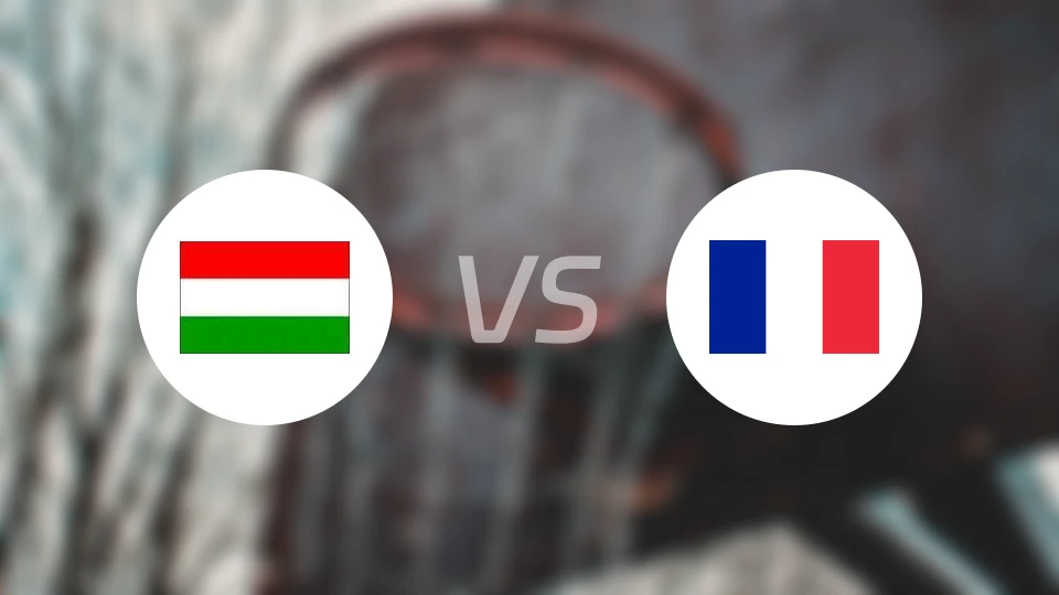 匈牙利vs法国比分结果战报【2026/02/28】