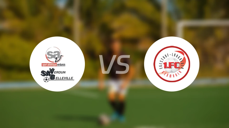 维丹vs埃格斯托夫比分预测【2025/11/16】