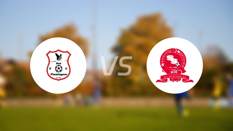 苏阿火烈鸟vs安全系统FC比分预测【2024/10/26】