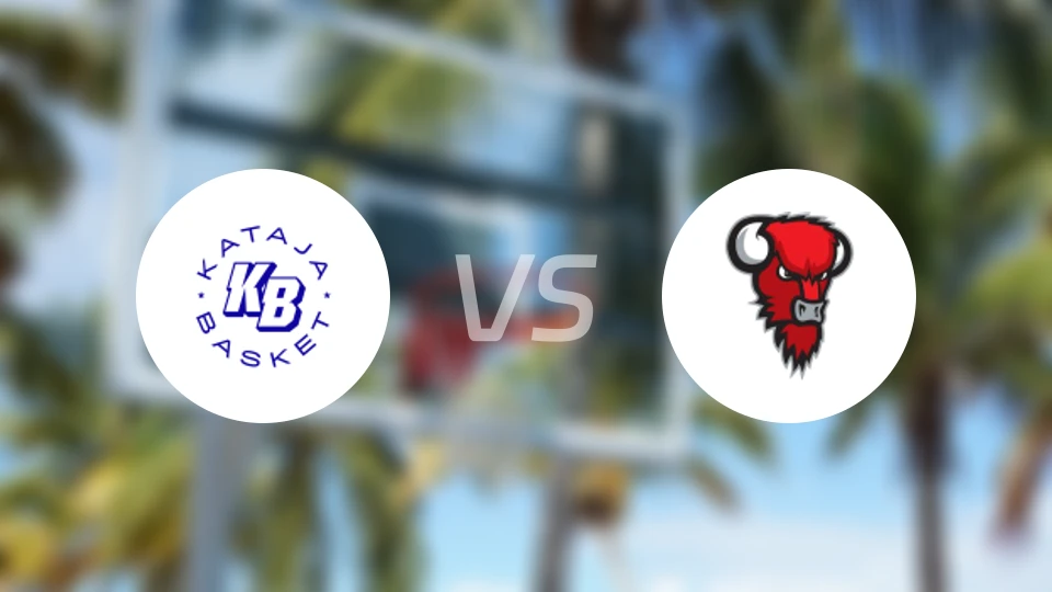 卡塔查vs野牛比分预测【2026/02/14】