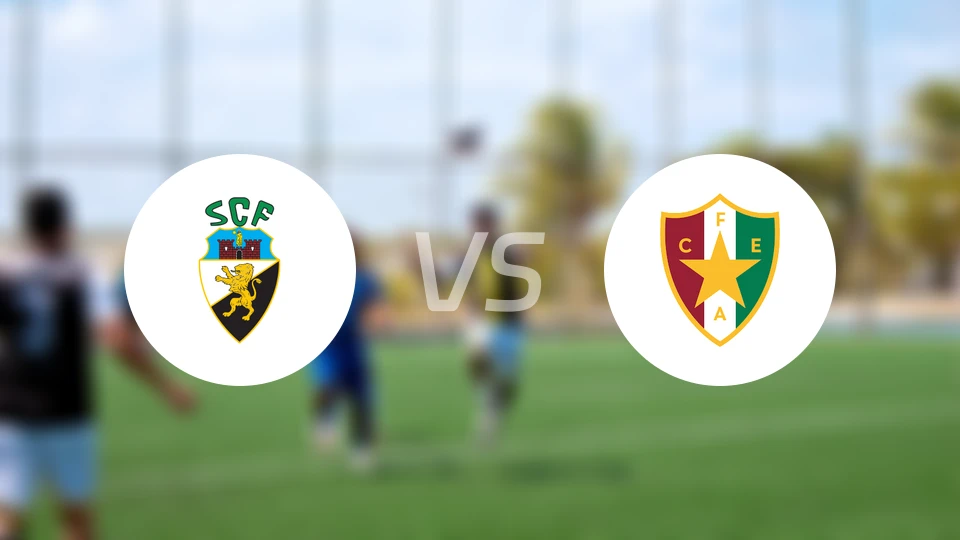 法鲁人体育vs阿马多拉之星比分结果战报【2024/11/30】