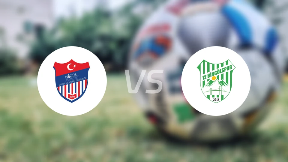 尼格德vs宾高尔比分预测【2026/03/29】