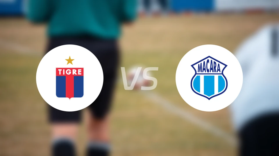 堤格雷vs马卡拉比分结果战报【2026/04/17】