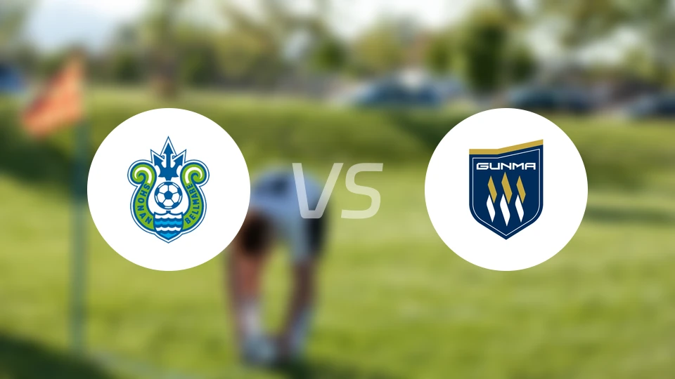 湘南丽海vs群马草津温泉比分预测【2026/04/18】