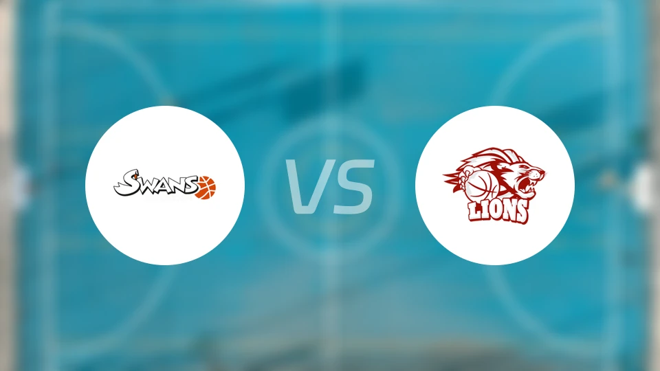 葛姆登天鹅vs雄狮比分预测【2026/01/19】