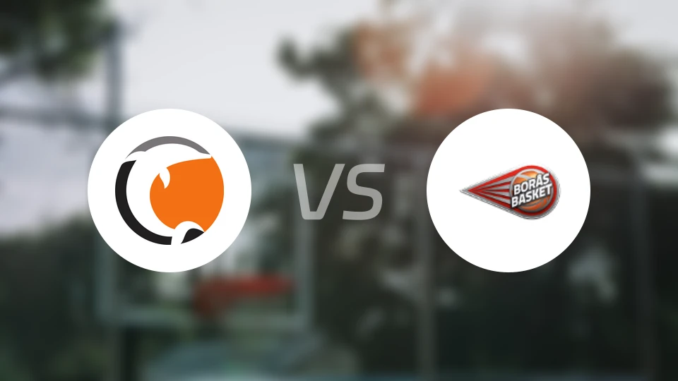 诺科平海豚vs波拉斯比分预测【2025/11/23】