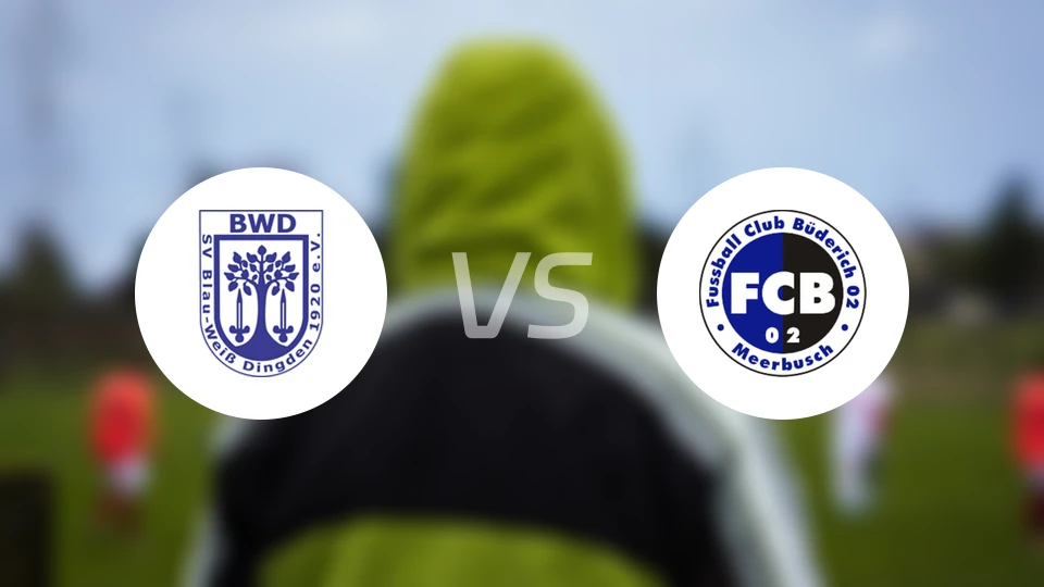 丁登vs布德里奇比分预测【2026/04/25】