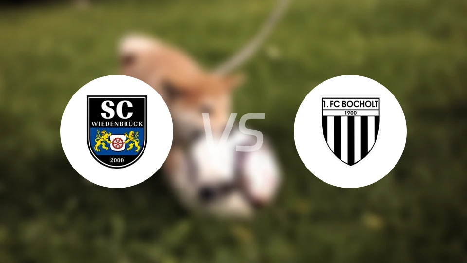 维登贝鲁克vs波卓尔特比分预测【2026/01/31】