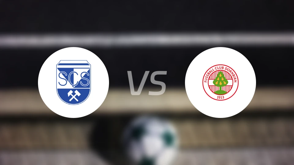 施瓦兹vs多恩比恩比分预测【2026/04/19】