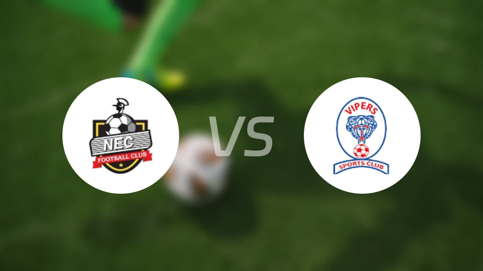 布戈洛比vs毒蛇比分结果战报【2024/08/06】