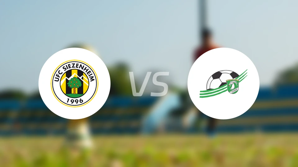 UFC锡岑海姆vs奥伊根多夫比分预测【2026/04/04】