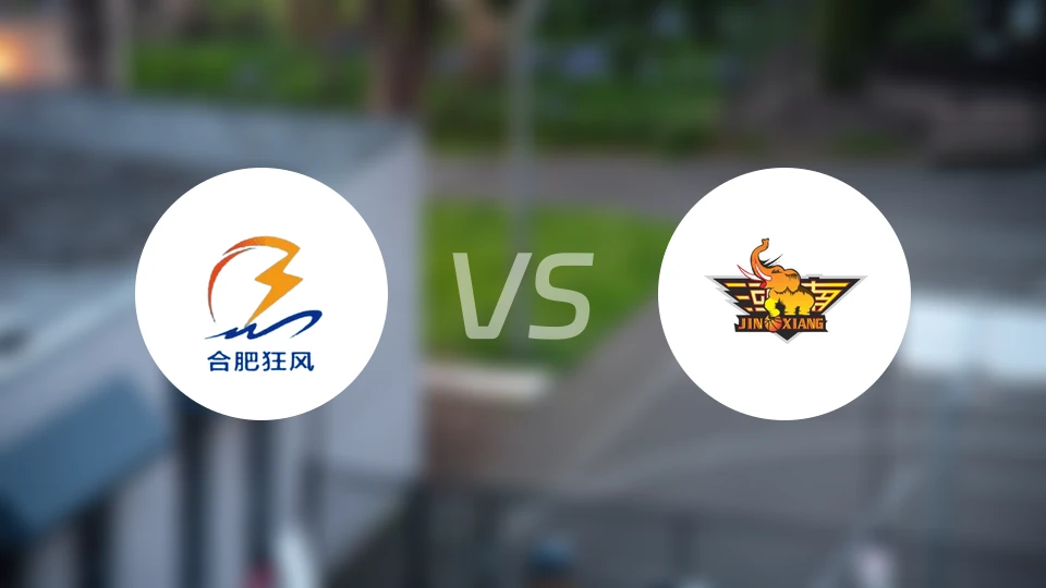 合肥狂风峻茂vs河南赊店老酒录像回放【2024/08/19】