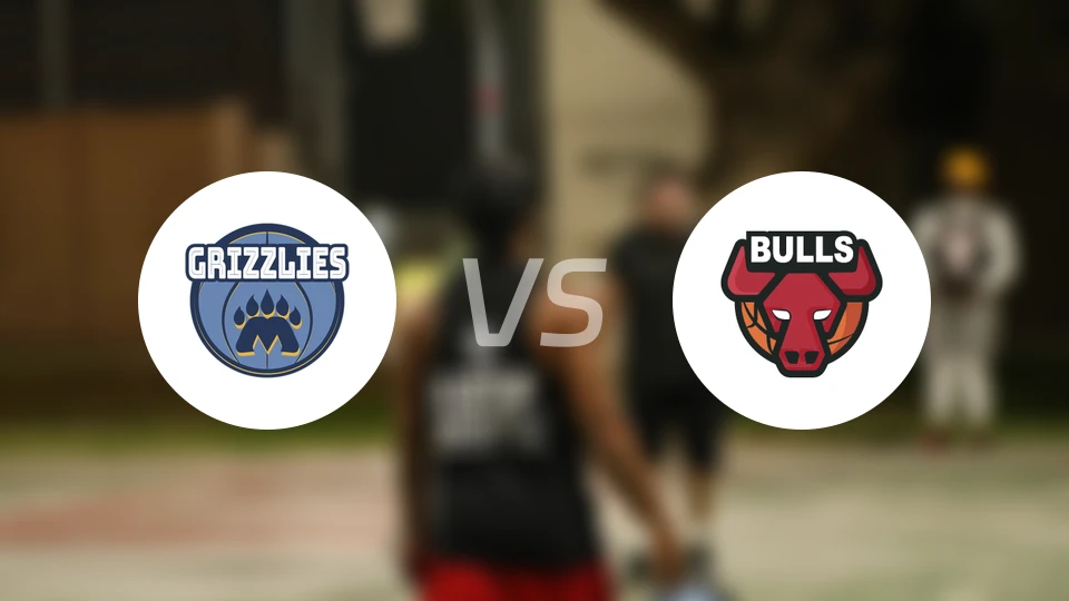 灰熊vs公牛比分预测【2026/03/17】