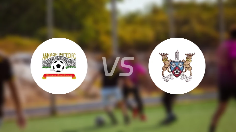 安纳vs阿尔斯比分预测【2025/11/29】