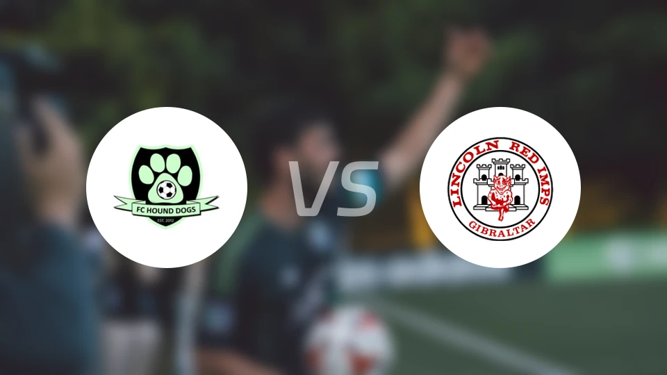 猎犬队vs林肯红魔比分预测【2026/01/29】