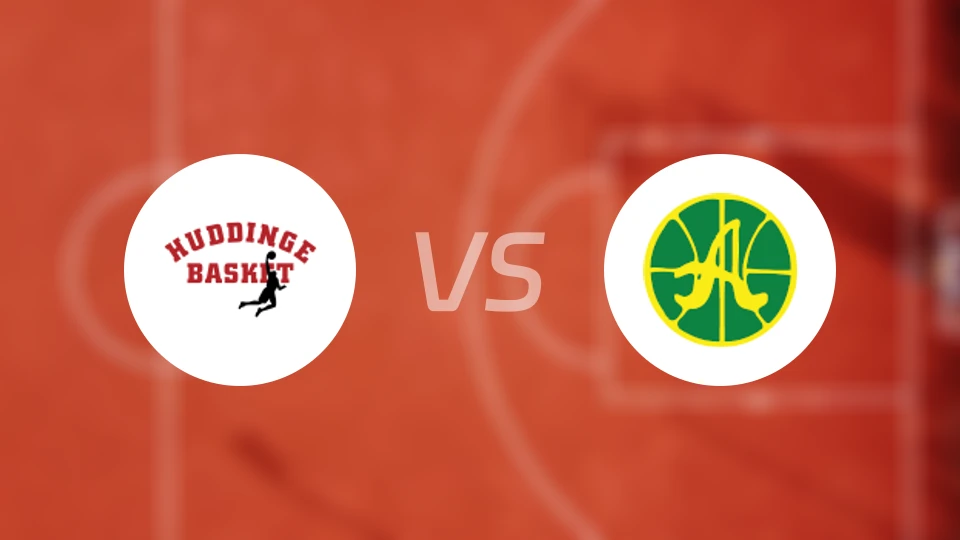 哈丁格vs艾维克比分预测【2025/12/11】