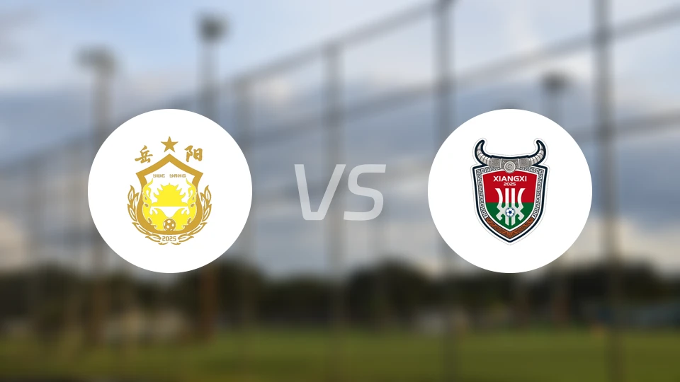 岳阳队vs湘西队录像回放【2025/11/02】