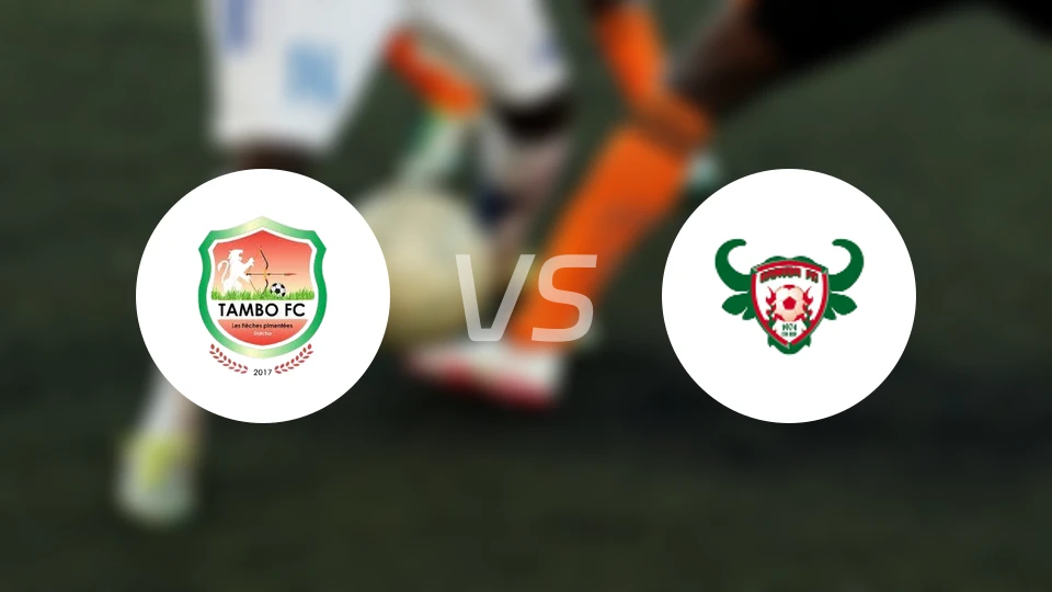 坦博FCvs高米多比分预测【2026/03/01】