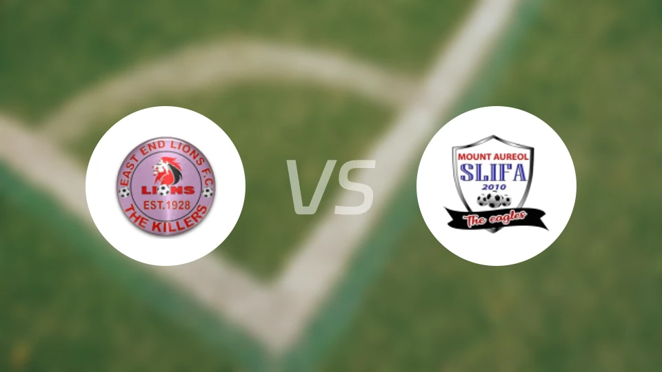 东端狮vs斯利法比分预测【2026/01/28】