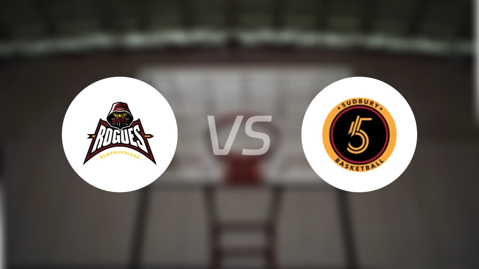 纽芬兰流氓vs萨德伯里比分预测【2026/02/14】