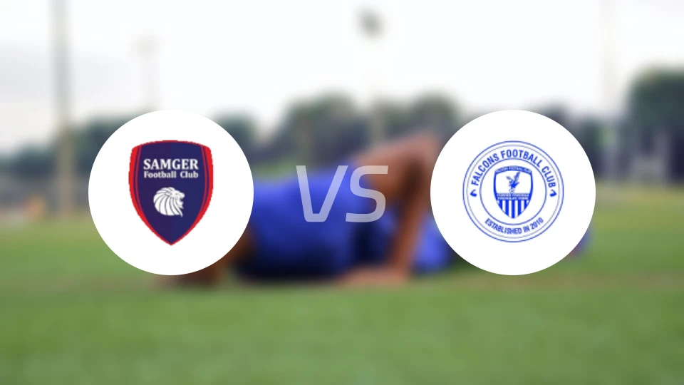 萨姆格尔FCvs猎鹰比分预测【2026/01/24】